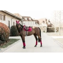 Kentucky Horsewear Kentucky Schabracke Velvet Springen Lila -Pferdebedarf Verkauf kh 42579 16.92c550
