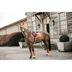 Kentucky Horsewear Kentucky Schabracke Velvet Springen Lila -Pferdebedarf Verkauf kh 42579 45 4.c4057b