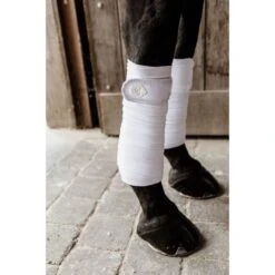 Kentucky Horsewear Kentucky Bandagen Polar Fleece Pearls Braun Warmblut 27 Kentucky Horsewear Kentucky Bandagen Polar Fleece Pearls Braun Warmblut -Pferdebedarf Verkauf kh 485a1147.bc0cb3