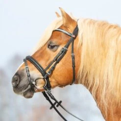 Kieffer Trense Ultrasoft Haflinger Braun/Braun Haflinger -Pferdebedarf Verkauf kieffer 3147 kieffer ultrasoft haflinger black horse 0.831181
