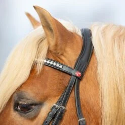 Kieffer Trense Ultrasoft Haflinger Braun/Braun Haflinger -Pferdebedarf Verkauf kieffer 3147 kieffer ultrasoft haflinger black horse 2.fc8b7e