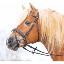 Kieffer Trense Ultrasoft Haflinger Braun/Braun Haflinger