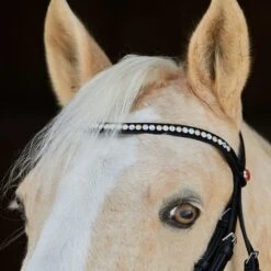 Kieffer Trense Ilona Helle Kristalle Sport Pony/Arab -Pferdebedarf Verkauf kieffer 3157 ilona horse 4b.16bf2c