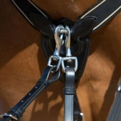 Kieffer Brustgeschirr Arlene Elastisch Tabak -Pferdebedarf Verkauf kieffer 922 arlene vorderzeug breastplate 4.ad1c11
