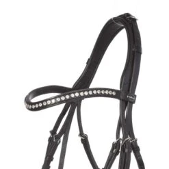 Kavalkade Kandare 'Premium' Antonia Schwarz/Lack -Pferdebedarf Verkauf kv 19351 05.1943d1