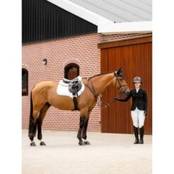 LeMieux Schabracke Crystal Suede Close Contact Weiß -Pferdebedarf Verkauf lemieux 1s6a9802 edit copy.925a8b