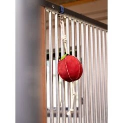 LeMieux Horse Toy Banana -Pferdebedarf Verkauf lemieux 3n6a4599 edit copy.af1656