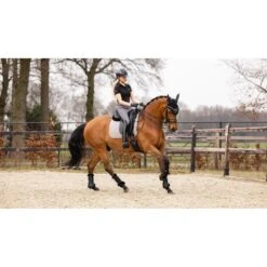 LeMieux Schabracke Prosport Plain Square D-Ring Dressur Weiß -Pferdebedarf Verkauf lemieux it01285 lifestyle suededressagesquare grey 2 copy.3e7b9f