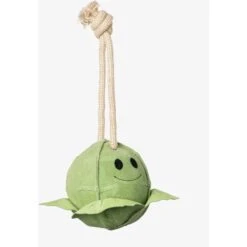 LeMieux Spielzeug Paard Sprout Sprout -Pferdebedarf Verkauf lm 3n6a3433 edit copy 1.628ef2