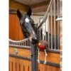 LeMieux Spielzeug Paard Robin Robin -Pferdebedarf Verkauf lm it03942 lifestyle horsetoy robin 2.40f906