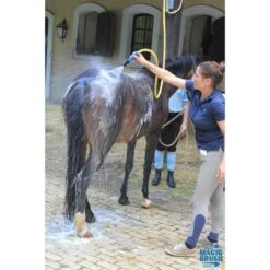 Magic Brush Shampoo Wash&Shine Sensitive 500ml 12 Magic Brush Shampoo Wash&Shine Sensitive 500ml -Pferdebedarf Verkauf mbrush shampoo algmeen 4.119a2f