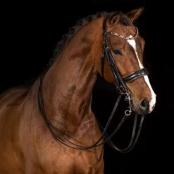 Mrs. Ros Kandarenzaum Galaxy Rose