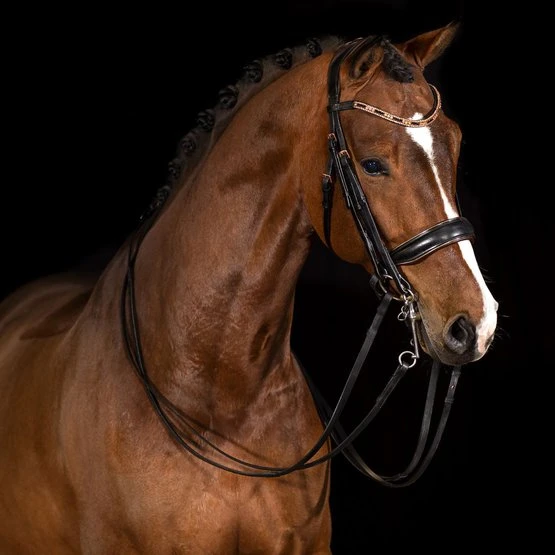 Mrs. Ros Kandarenzaum Galaxy Rose 3 Mrs. Ros Kandarenzaum Galaxy Rose