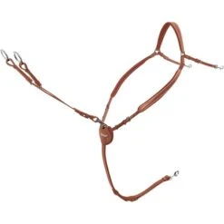 Passier Vorderzeug Marcus Ehning Schwarz/Silber 9 Passier Vorderzeug Marcus Ehning Schwarz/Silber -Pferdebedarf Verkauf pas 688 me vz tea edst mtggab.be6432