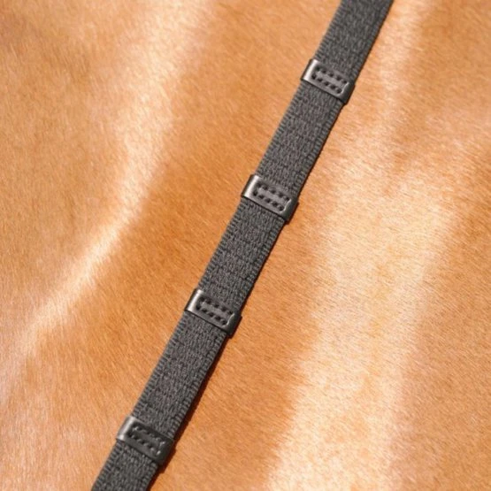 Passier Zügel Gurtmaterial 5 Stegen Havanna/Silber 4 Passier Zügel Gurtmaterial 5 Stegen Havanna/Silber - Image 2