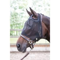 Harry's Horse Fliegenmaske Flyshield Ohne Ohren -Pferdebedarf Verkauf producthar 31300008.e09612