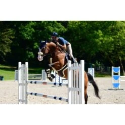 Kentucky Horsewear Kentucky Brustgeschirr Schutxbezug Sheepskin Schwarz 60cm 11 Kentucky Horsewear Kentucky Brustgeschirr Schutxbezug Sheepskin Schwarz 60cm -Pferdebedarf Verkauf productken 88192 42402 42601 42602 42605.f400e7