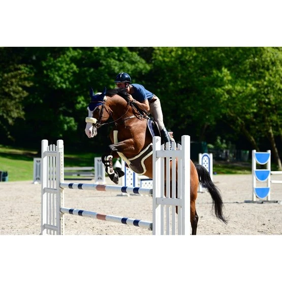 Kentucky Horsewear Kentucky Brustgeschirr Schutxbezug Sheepskin Schwarz 60cm 7 Kentucky Horsewear Kentucky Brustgeschirr Schutxbezug Sheepskin Schwarz 60cm - Image 5