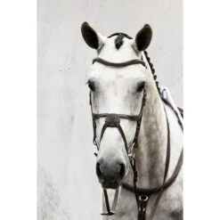 PS Of Sweden Trense Athens Braun -Pferdebedarf Verkauf ps dsc 6736.2087bb