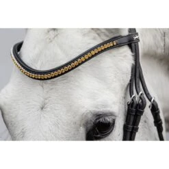 Schockemöhle Stirnriemen Diamond Select Schwarz/Toffee/Shades -Pferdebedarf Verkauf schockemohle 1102 00079 browbanddiamondselect orange img1.df31b7