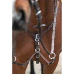 Schockemöhle Martingal Wellington Select Espresso/Silber -Pferdebedarf Verkauf schockemohle 1120 00029 wellingtonselect espresso silver img2982.f58625