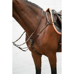 Schockemöhle Martingal Wellington Select Espresso/Silber -Pferdebedarf Verkauf schockemohle 1120 00029 wellingtonselect espresso silver img3023.236b16