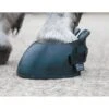 Shires Hufschuh Schwarz -Pferdebedarf Verkauf sh 1847 black.4f7d43