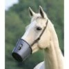 Shires Maulkorb Plastik Braun One Size