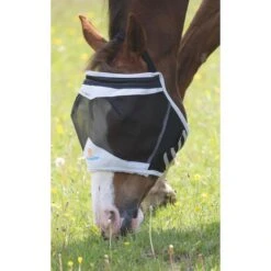Shires Fliegenmaske Ohne Ohren Mesh Schwarz 15 Shires Fliegenmaske Ohne Ohren Mesh Schwarz -Pferdebedarf Verkauf shires 6661 black 1ef7632.25170d 1