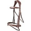 Trust Zaum Geneva Braun/gold 1 Trust Zaum Geneva Braun/gold -Pferdebedarf Verkauf trust 9f0fb6c60f947a3f9b0e19c718797d3f9678aecb.1cd0ff
