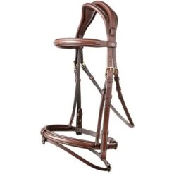 Trust Zaum Geneva Braun/gold