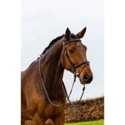 Trust Zaum Geneva Braun/gold -Pferdebedarf Verkauf trust geneva comb noseband strap passes over wide anatomic headpiece heus23l296388.0afd4b