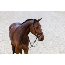Trust Zaum Hamburg Braun/Silber Warmblut -Pferdebedarf Verkauf trust hamburg training bridle incl rubb reins heus23l296411.b9f94d