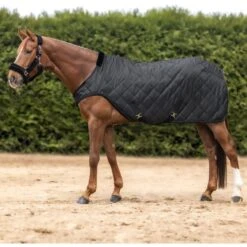 Waldhausen Führanlagendecke Exclusive Schwarz 125/175