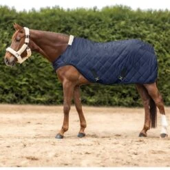 Waldhausen Führanlagendecke Exclusive Schwarz 125/175 -Pferdebedarf Verkauf wald 6330605 125 30.9a7580