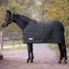 Waldhausen Unterdecken Thermo 200g Schwarz -Pferdebedarf Verkauf waldhausen 8030701 125 5.3cab7f