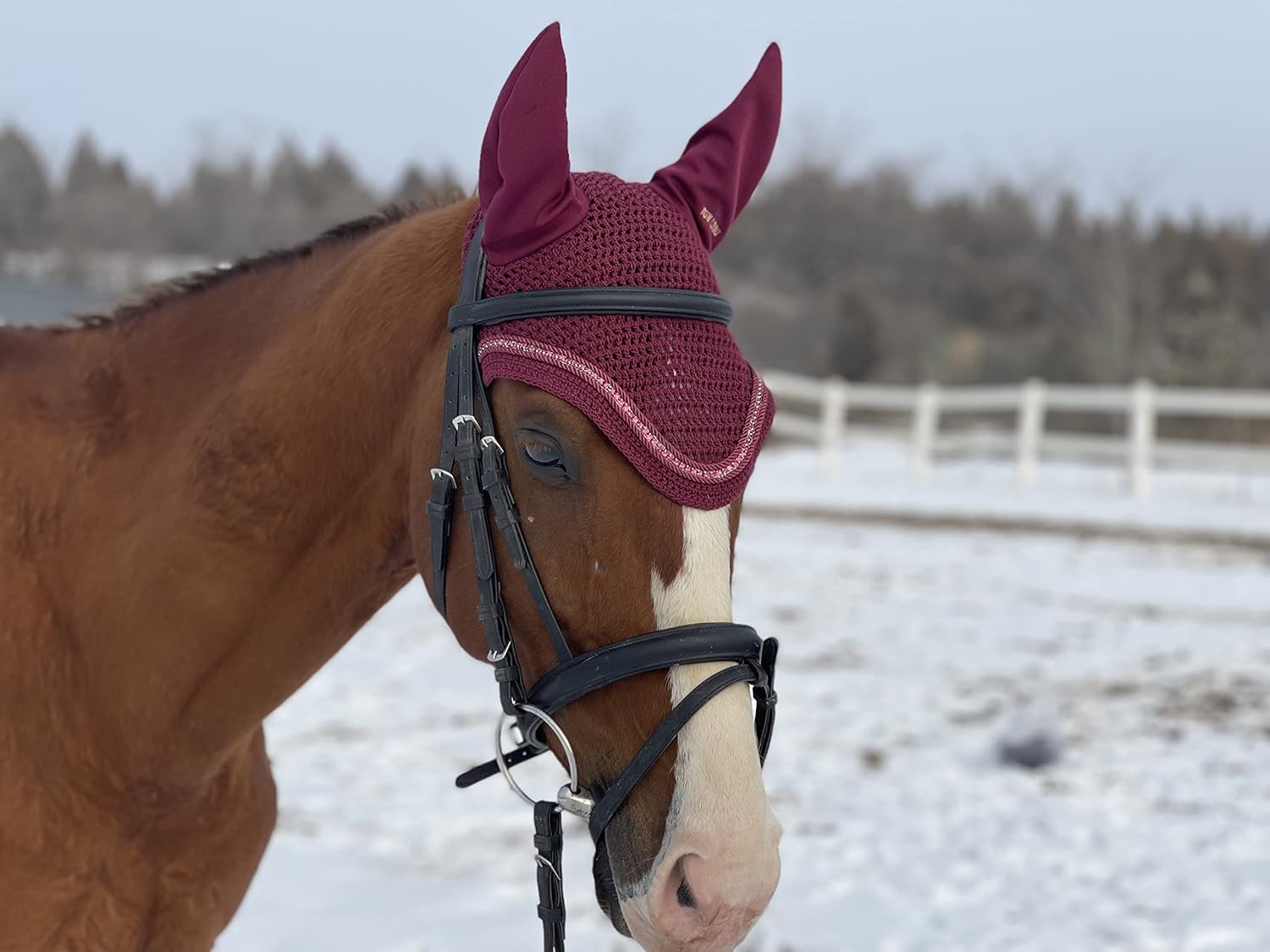 Pferdebedarf Verkauf -Pferdebedarf Verkauf
